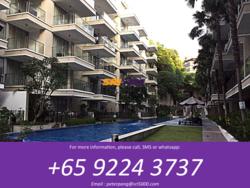 8 @ Mount Sophia (D9), Condominium #79351062